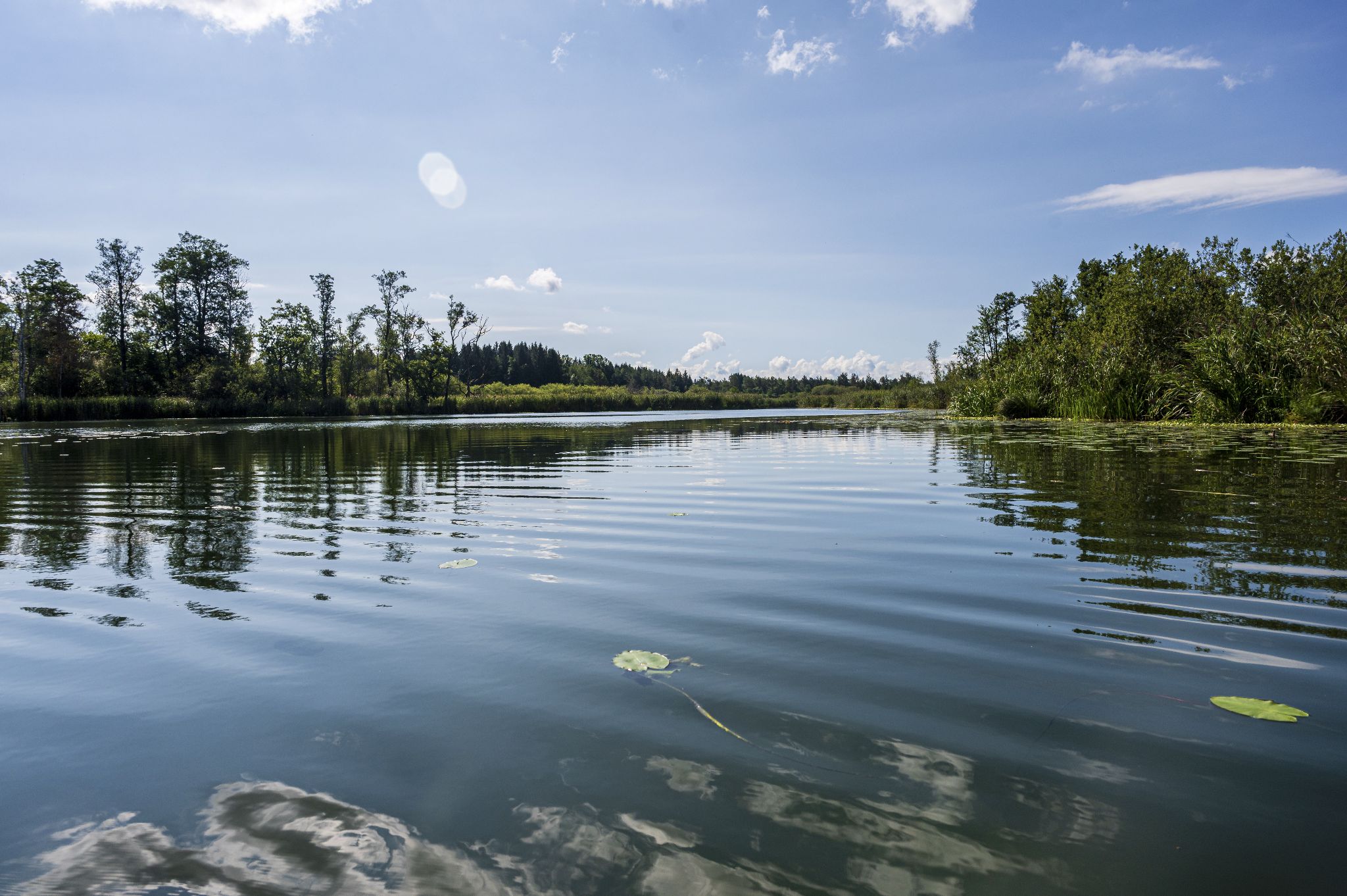 Kajaktour Leutstettner Moos 21.08.2022